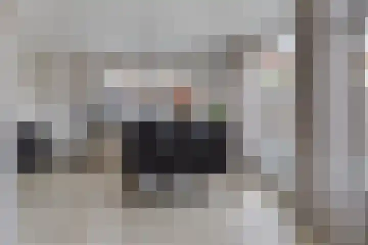 Meerkoetstraat 24 Capelle aan den IJssel thumbnail 22