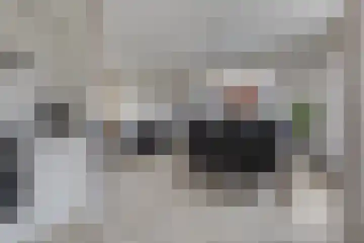 Meerkoetstraat 24 Capelle aan den IJssel thumbnail 23