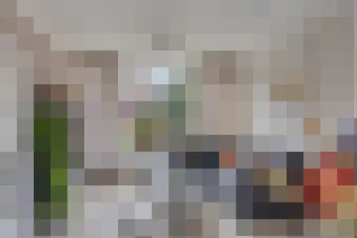 Meerkoetstraat 24 Capelle aan den IJssel thumbnail 24