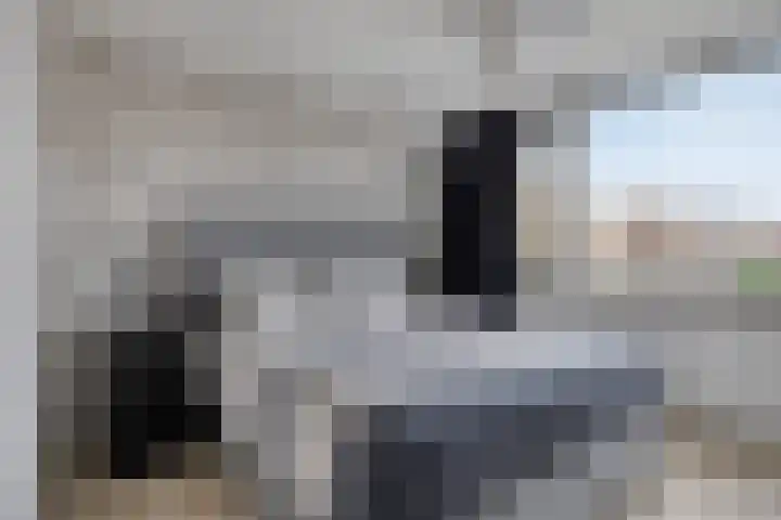 Meerkoetstraat 24 Capelle aan den IJssel thumbnail 26