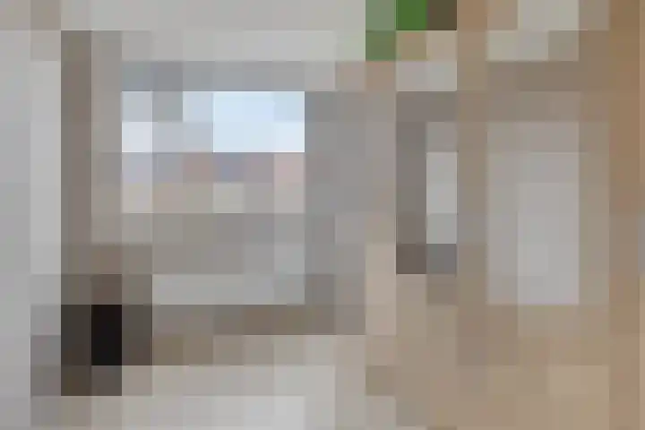 Meerkoetstraat 24 Capelle aan den IJssel thumbnail 32