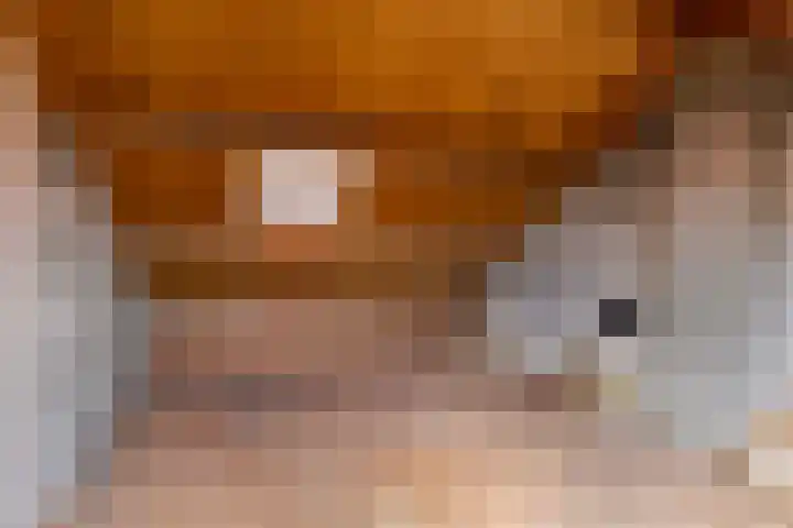 Meerkoetstraat 24 Capelle aan den IJssel thumbnail 38