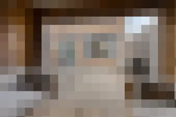 Meerkoetstraat 24 Capelle aan den IJssel thumbnail 43