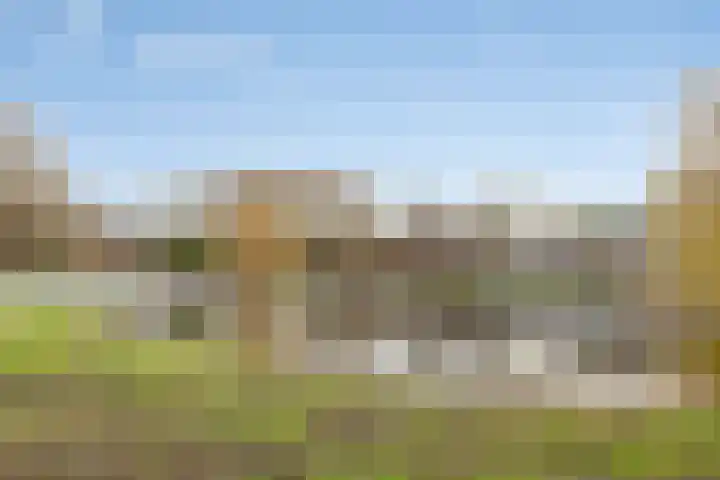 Meerkoetstraat 24 Capelle aan den IJssel thumbnail 46