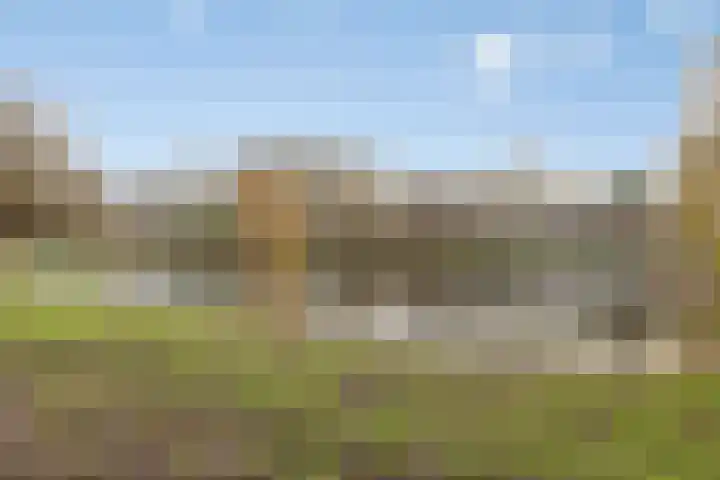 Meerkoetstraat 24 Capelle aan den IJssel thumbnail 47