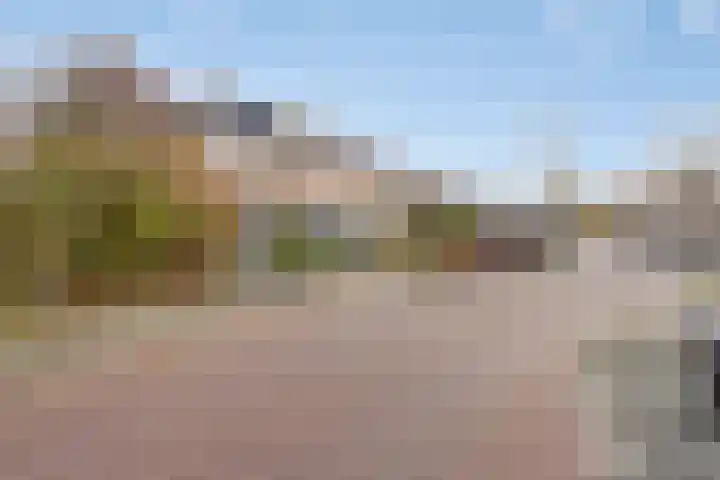 Meerkoetstraat 24 Capelle aan den IJssel thumbnail 5