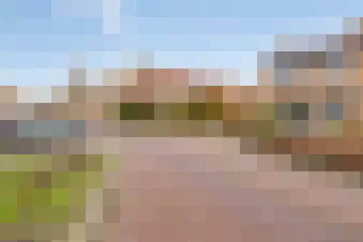 Meerkoetstraat 24 Capelle aan den IJssel thumbnail 6