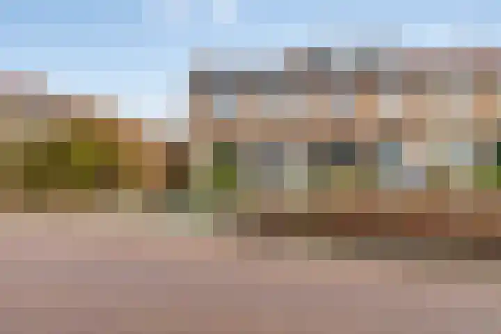 Meerkoetstraat 24 Capelle aan den IJssel thumbnail 7
