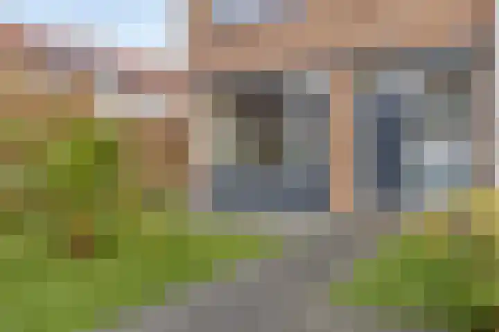 Meerkoetstraat 24 Capelle aan den IJssel thumbnail 8