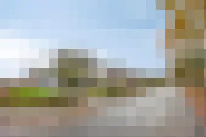 Meerkoetstraat 24 Kollum thumbnail 5