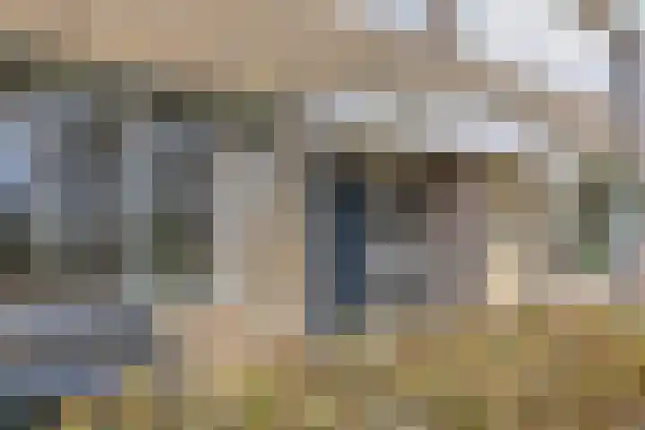 Meerkoetstraat 24 Kollum thumbnail 7