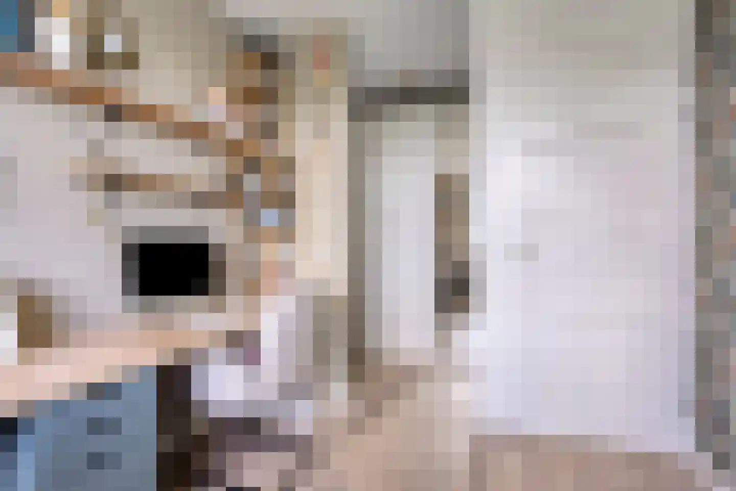 Meerkoetstraat 24 Oosthuizen thumbnail 25