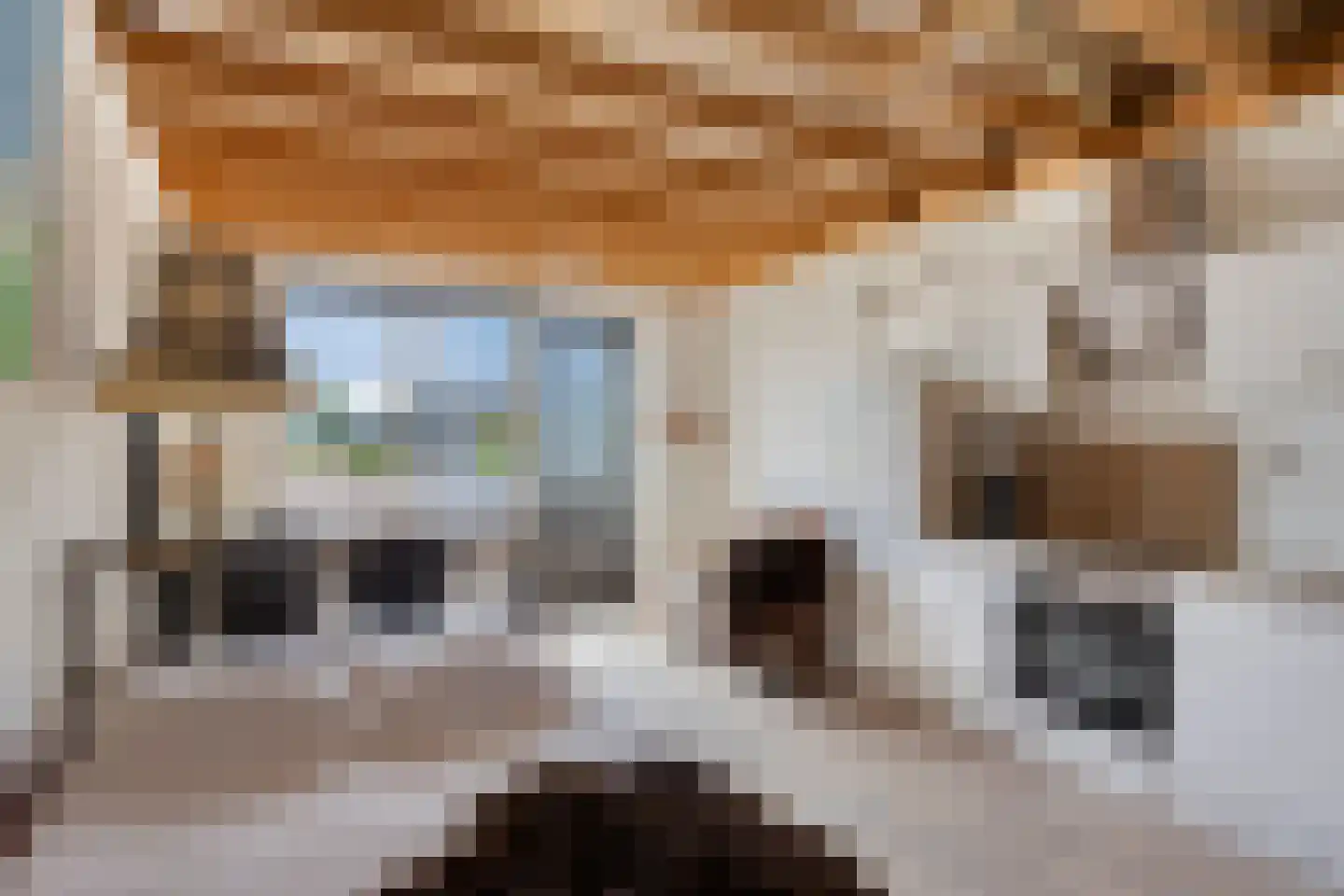 Meerkoetstraat 24 Oosthuizen thumbnail 4