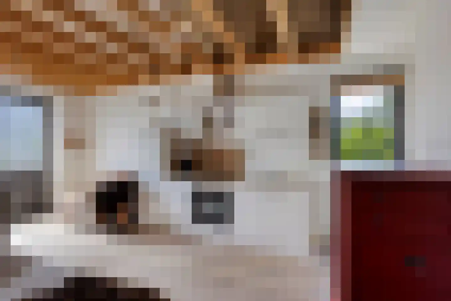 Meerkoetstraat 24 Oosthuizen thumbnail 51