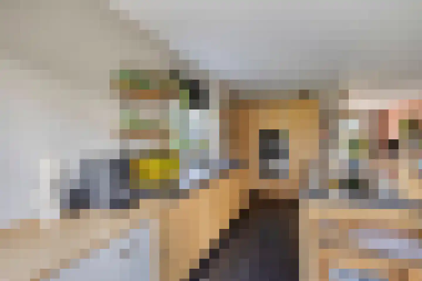 Meerkoetstraat 24 Oosthuizen thumbnail 7