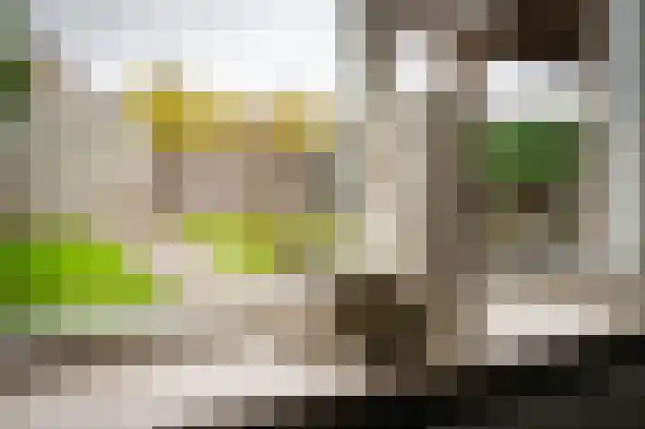 Meerkoetstraat 24 Putten thumbnail 34