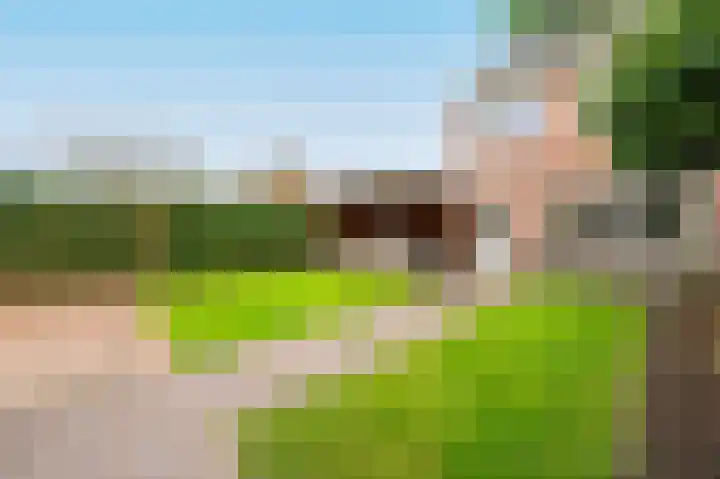 Meerkoetstraat 24 Putten thumbnail 36