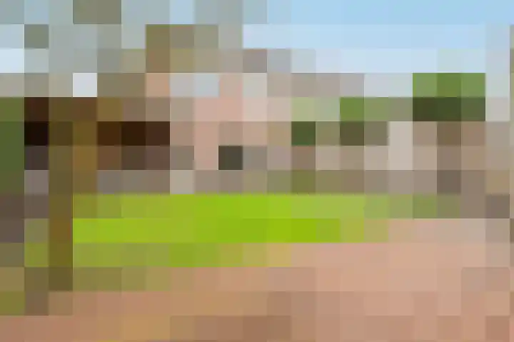 Meerkoetstraat 24 Putten thumbnail 37