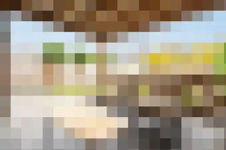 Meerkoetstraat 24 Putten thumbnail 42