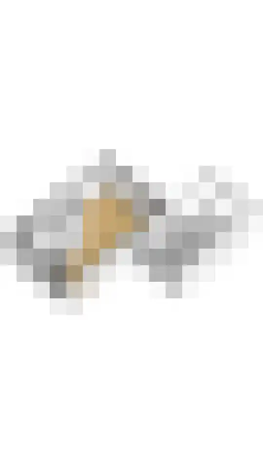 Meerkoetstraat 24 Putten thumbnail 54