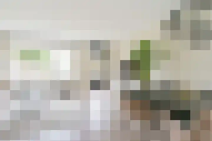 Meerkoetstraat 24 Putten thumbnail 7