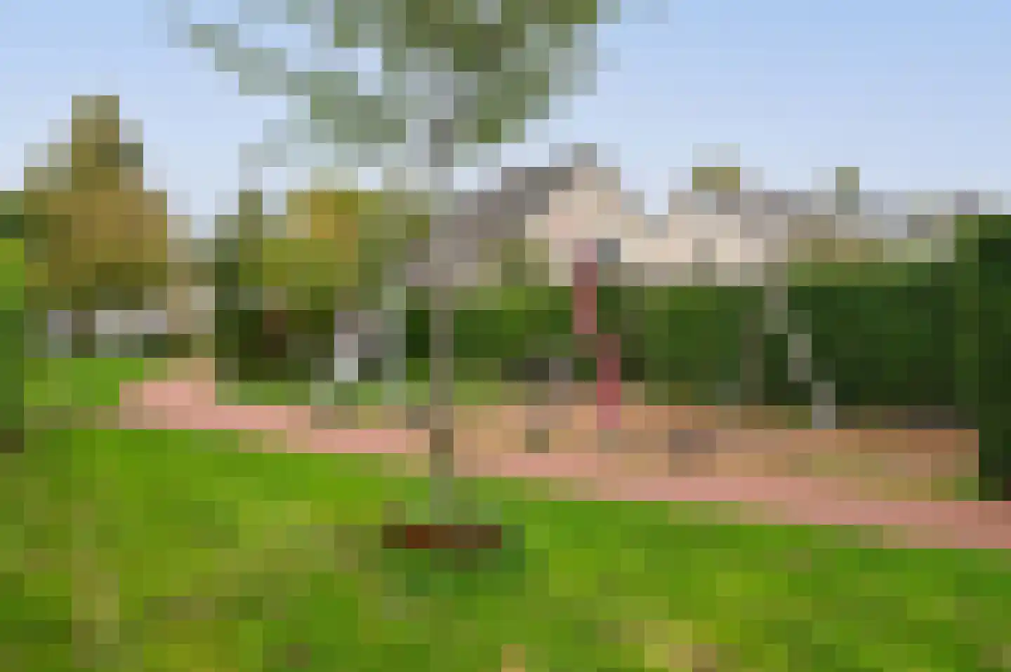 Meerkoetstraat 25 Putten thumbnail 33