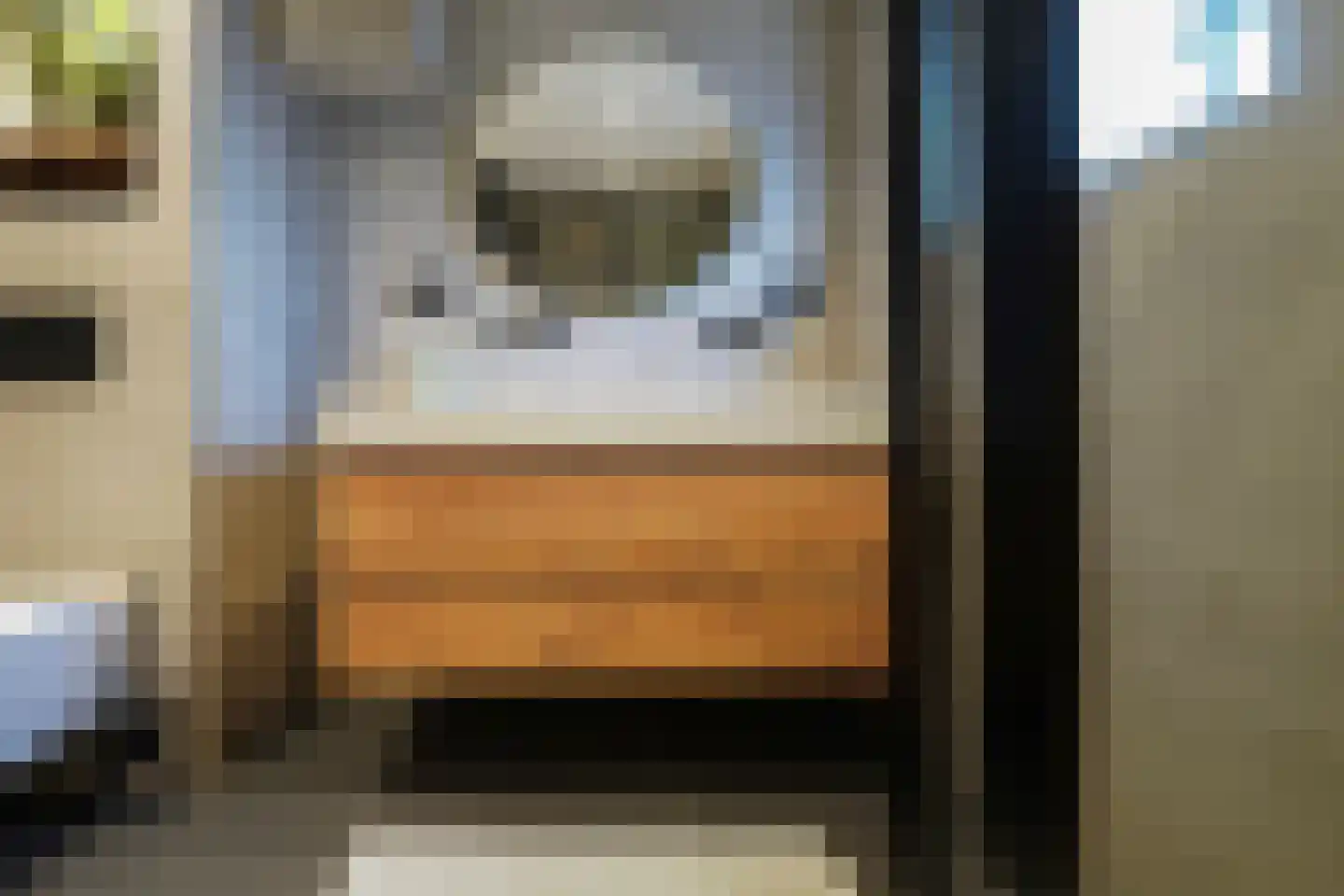 Meerkoetstraat 26 Putten thumbnail 33