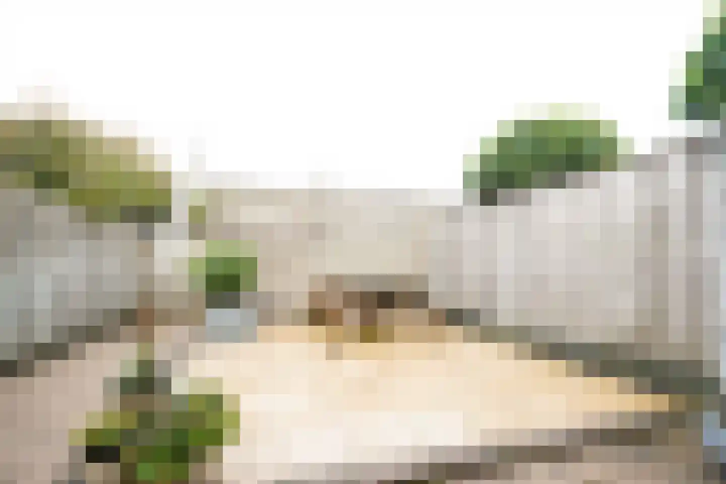 Meerkoetstraat 26 Putten thumbnail 46