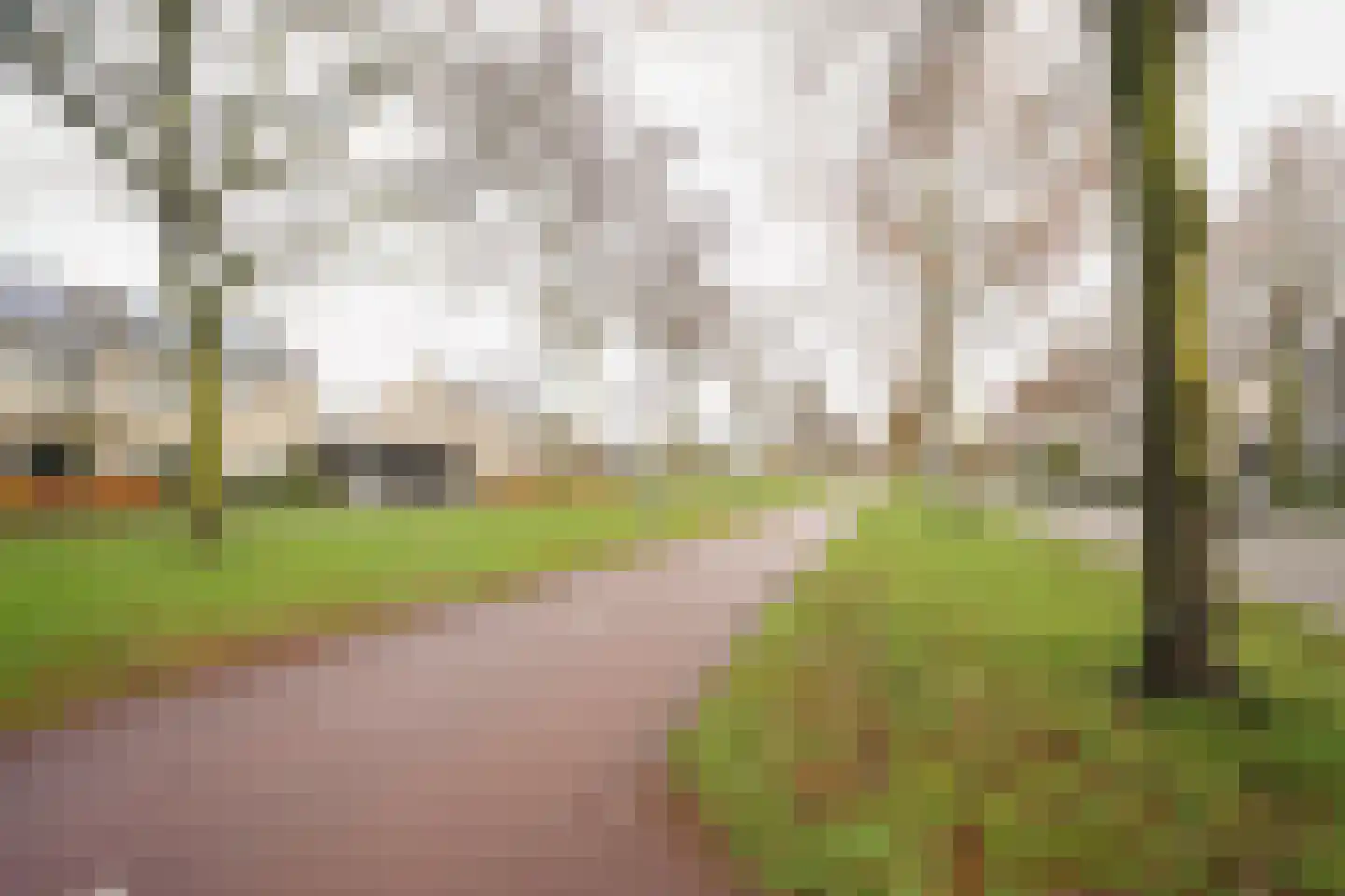 Meerkoetstraat 26 Putten thumbnail 48