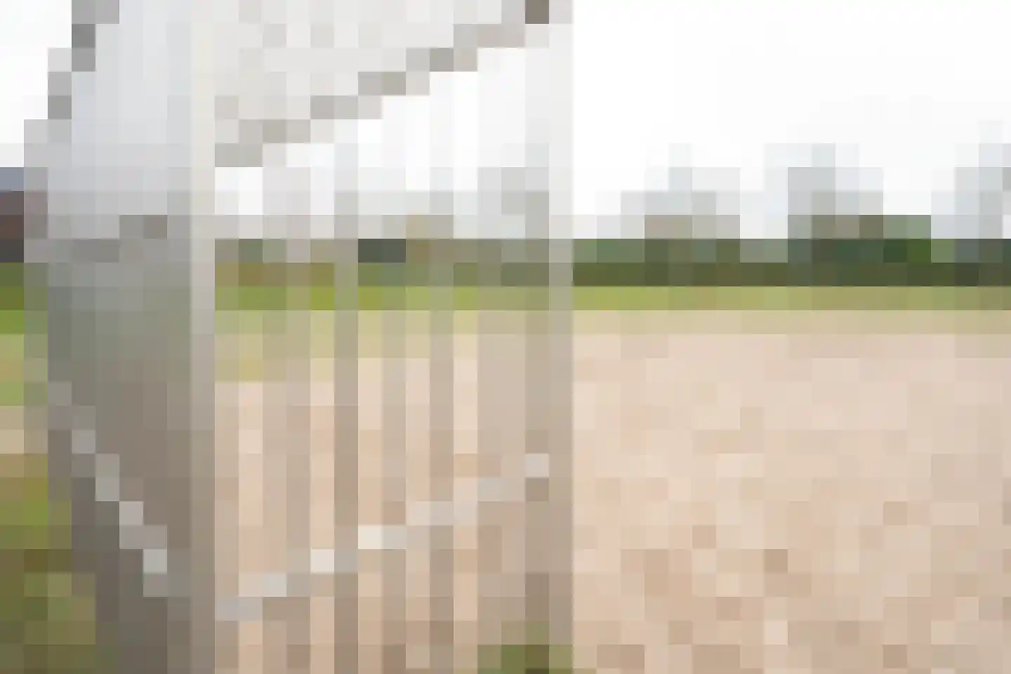 Meerkoetstraat 26 Putten thumbnail 51