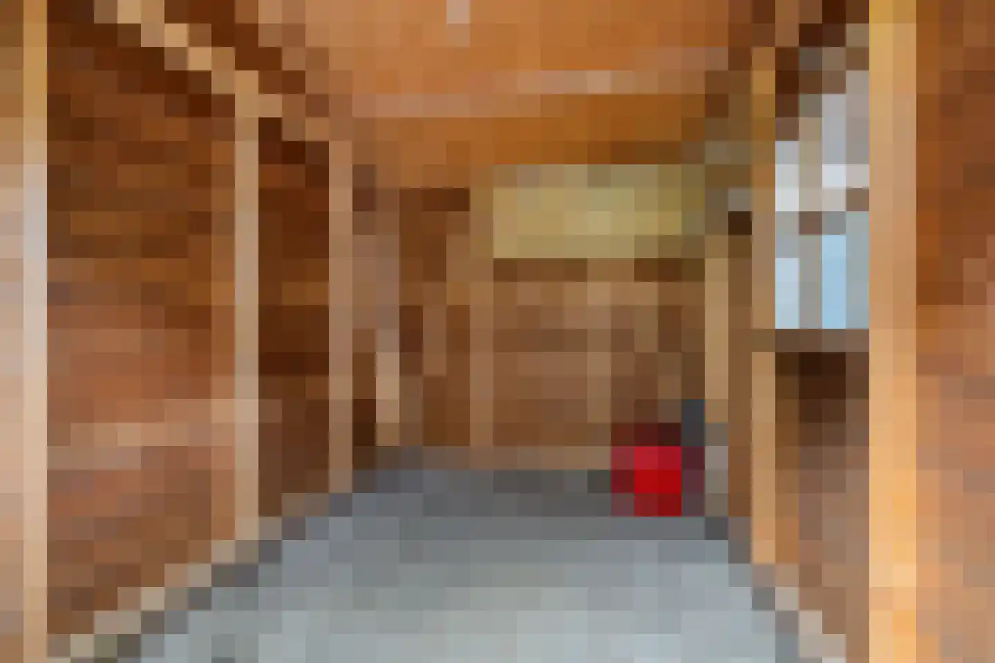 Meerkoetstraat 29 Drachten thumbnail 31