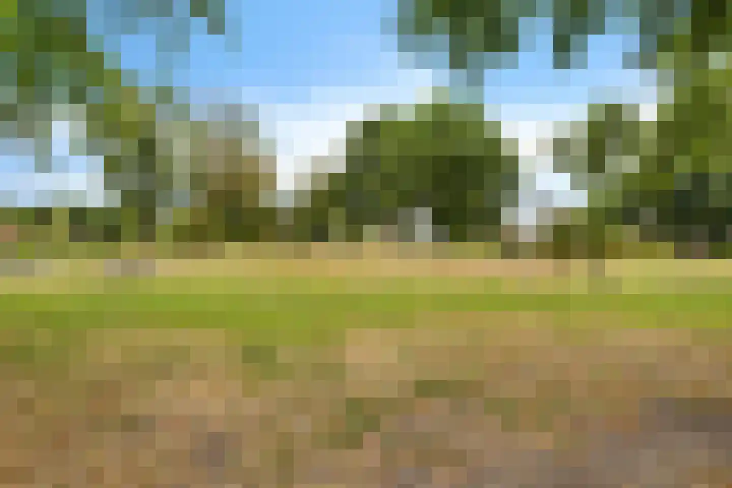 Meerkoetstraat 29 Drachten thumbnail 33