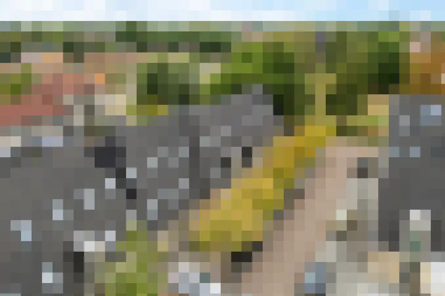 Meerkoetstraat 29 Drachten thumbnail 35