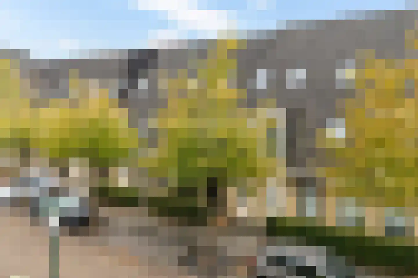 Meerkoetstraat 29 Drachten thumbnail 5
