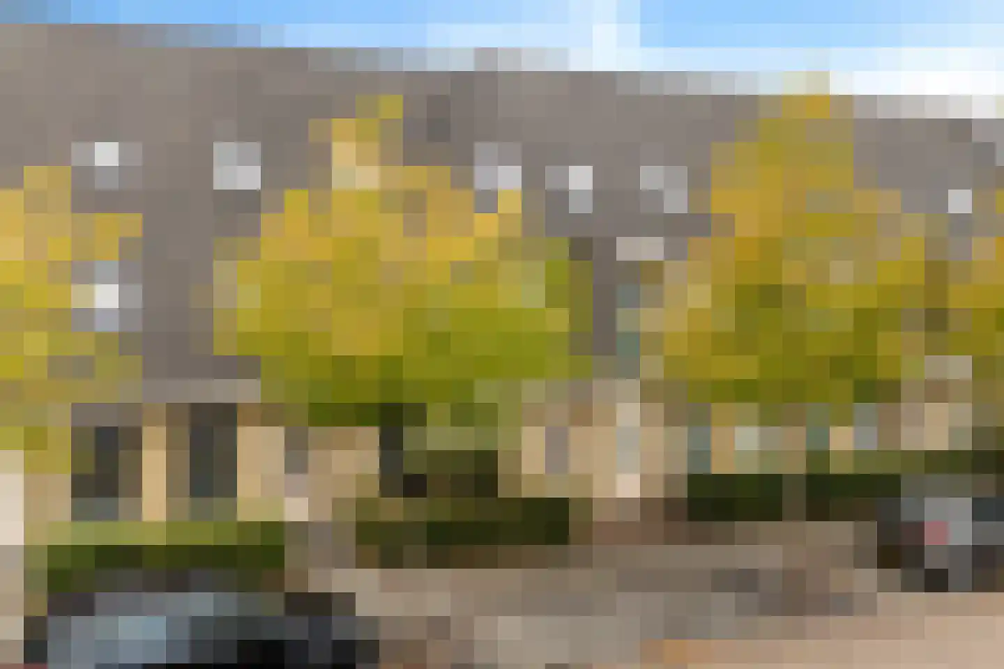 Meerkoetstraat 29 Drachten thumbnail 6