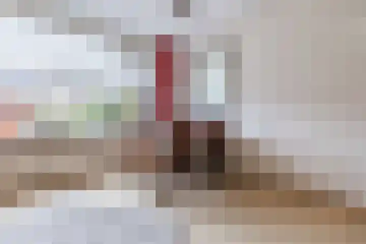 Meerkoetstraat 31 Anna Paulowna thumbnail 15