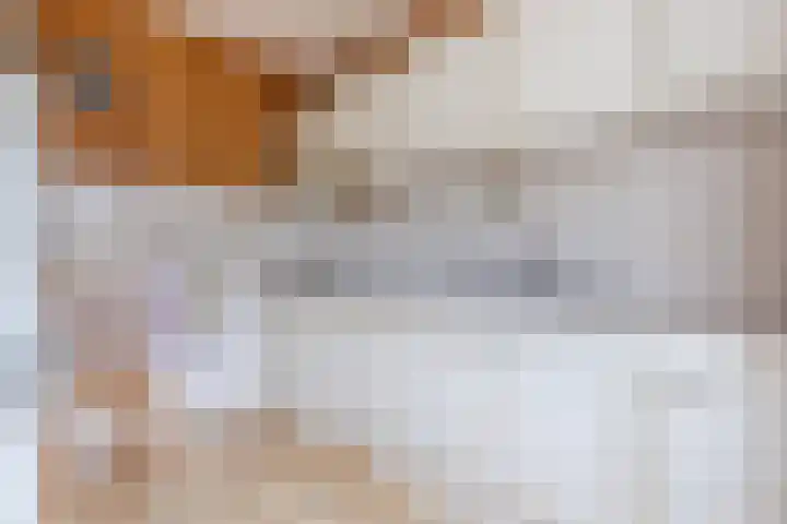 Meerkoetstraat 31 Anna Paulowna thumbnail 18