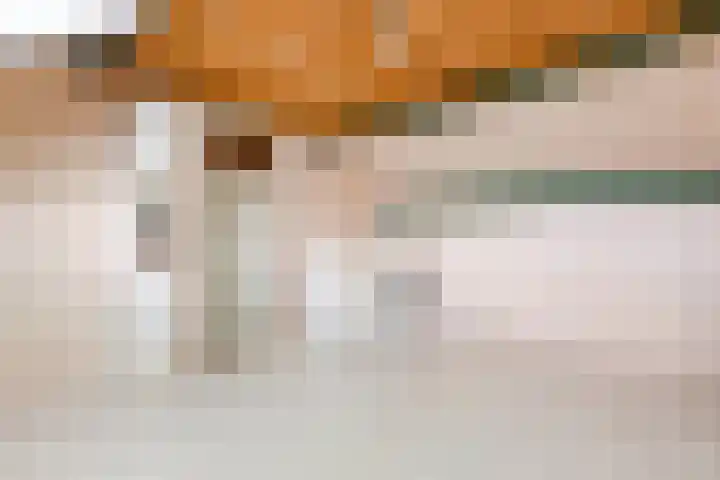 Meerkoetstraat 31 Anna Paulowna thumbnail 37