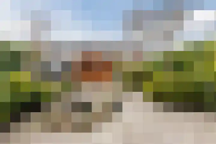 Meerkoetstraat 31 Anna Paulowna thumbnail 41