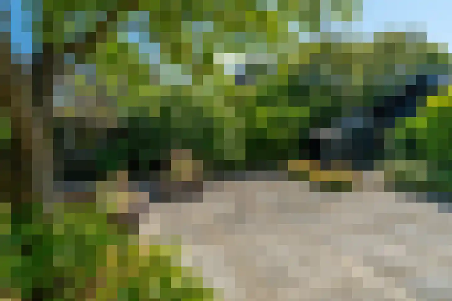 Meerkoetstraat 32 Kollum thumbnail 35