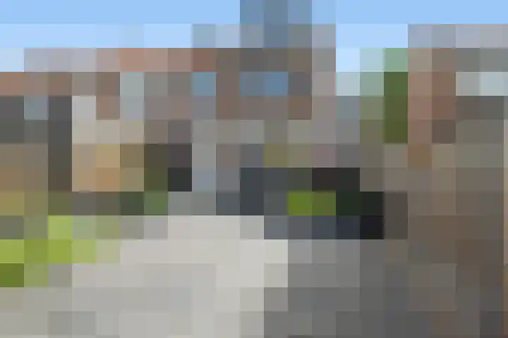 Meerkoetstraat 35 Capelle aan den IJssel thumbnail 12