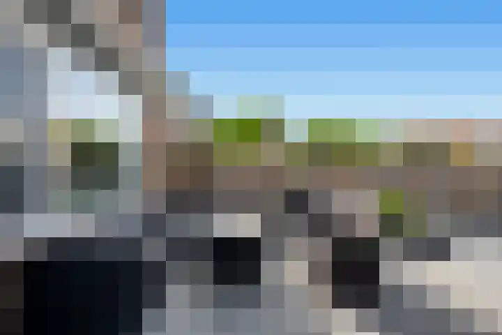 Meerkoetstraat 35 Capelle aan den IJssel thumbnail 13
