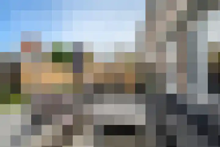 Meerkoetstraat 35 Capelle aan den IJssel thumbnail 14