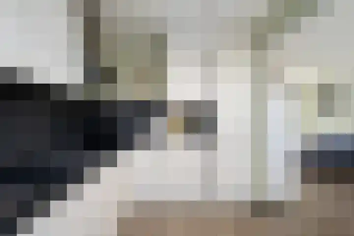 Meerkoetstraat 35 Capelle aan den IJssel thumbnail 15