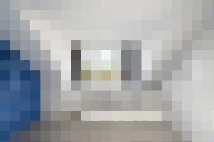 Meerkoetstraat 35 Capelle aan den IJssel thumbnail 31