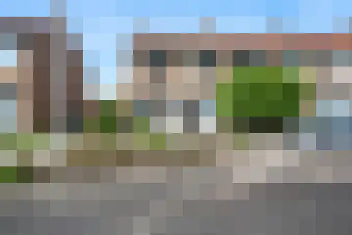 Meerkoetstraat 35 Capelle aan den IJssel thumbnail 35