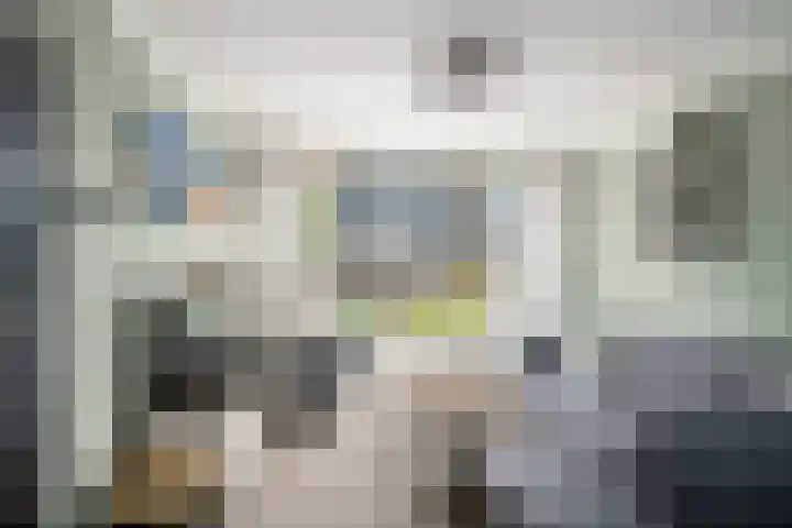 Meerkoetstraat 35 Capelle aan den IJssel thumbnail 4