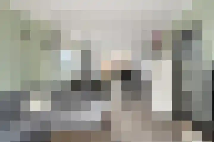 Meerkoetstraat 35 Capelle aan den IJssel thumbnail 5