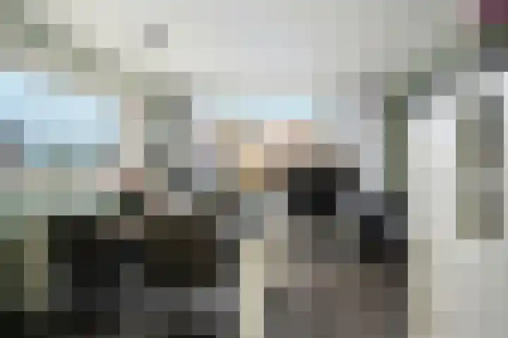 Meerkoetstraat 35 Capelle aan den IJssel thumbnail 6