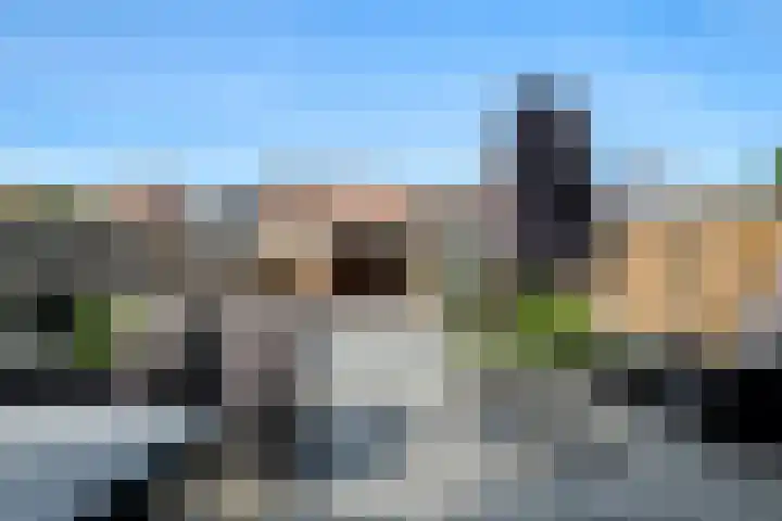 Meerkoetstraat 35 Capelle aan den IJssel thumbnail 9